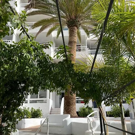 Ponderosa Tenerife *