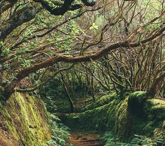 Διαμέρισμα Ponderosa Tenerife Πλάγια ντε λας Αμέρικας