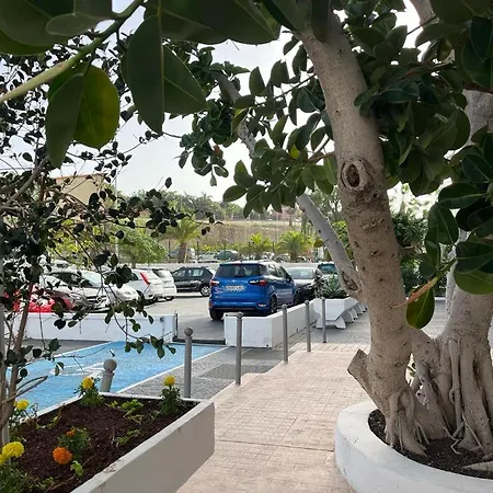 Ponderosa Tenerife 플라야데라스아메리카스