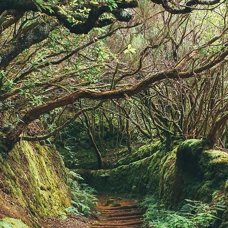 아파트 Ponderosa Tenerife 플라야데라스아메리카스