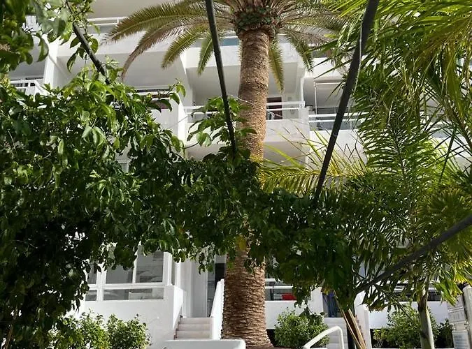 Ponderosa Tenerife *